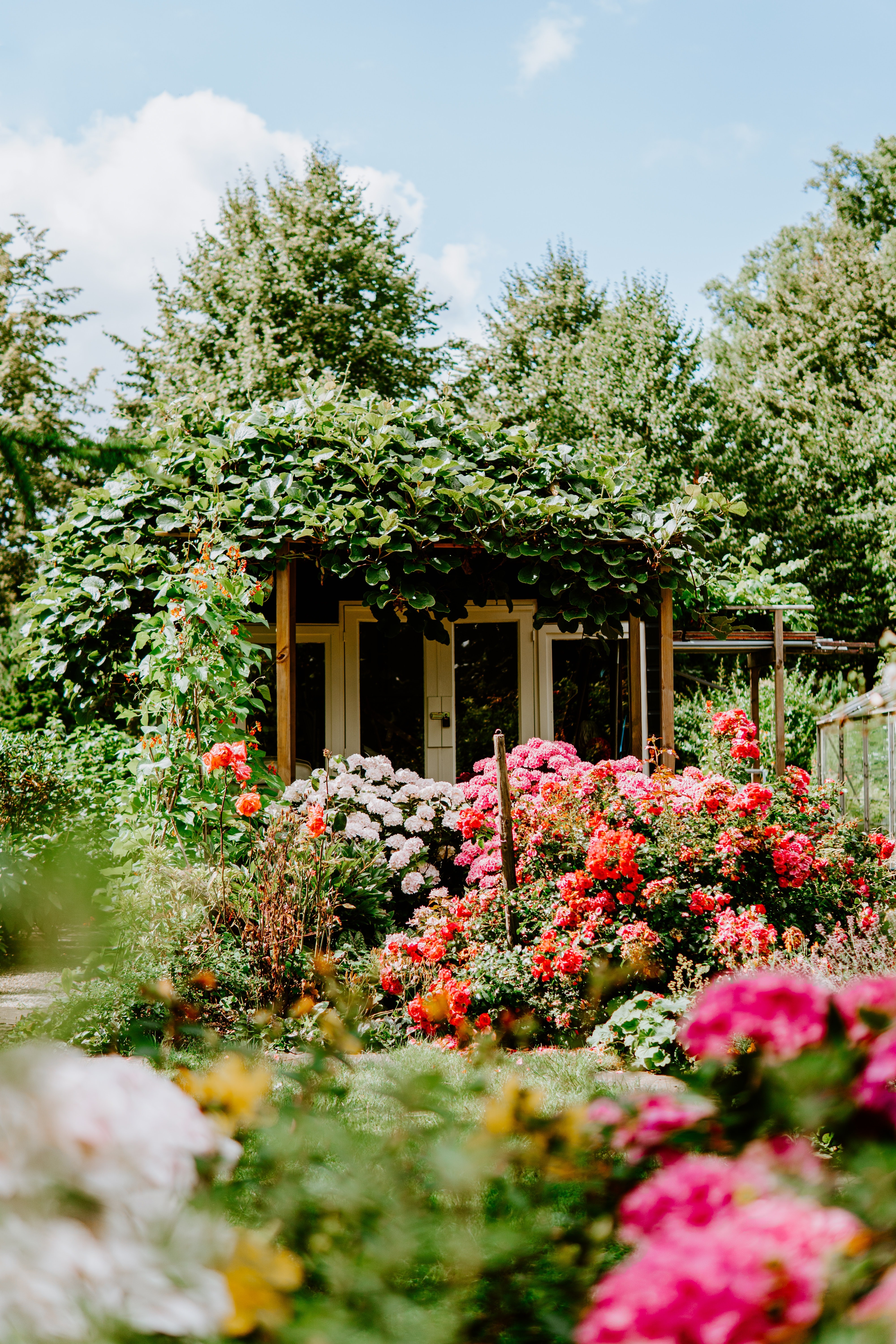 Blühender Garten mit EASYDUNG-Dünger